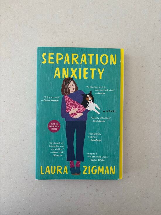 Book Other - Separation Anxiety Laura Zigman Paperback Novel Harper Perennial Fiction Book